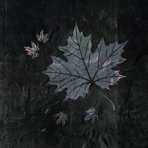 The Bunny The Bear : Colors of the Wind